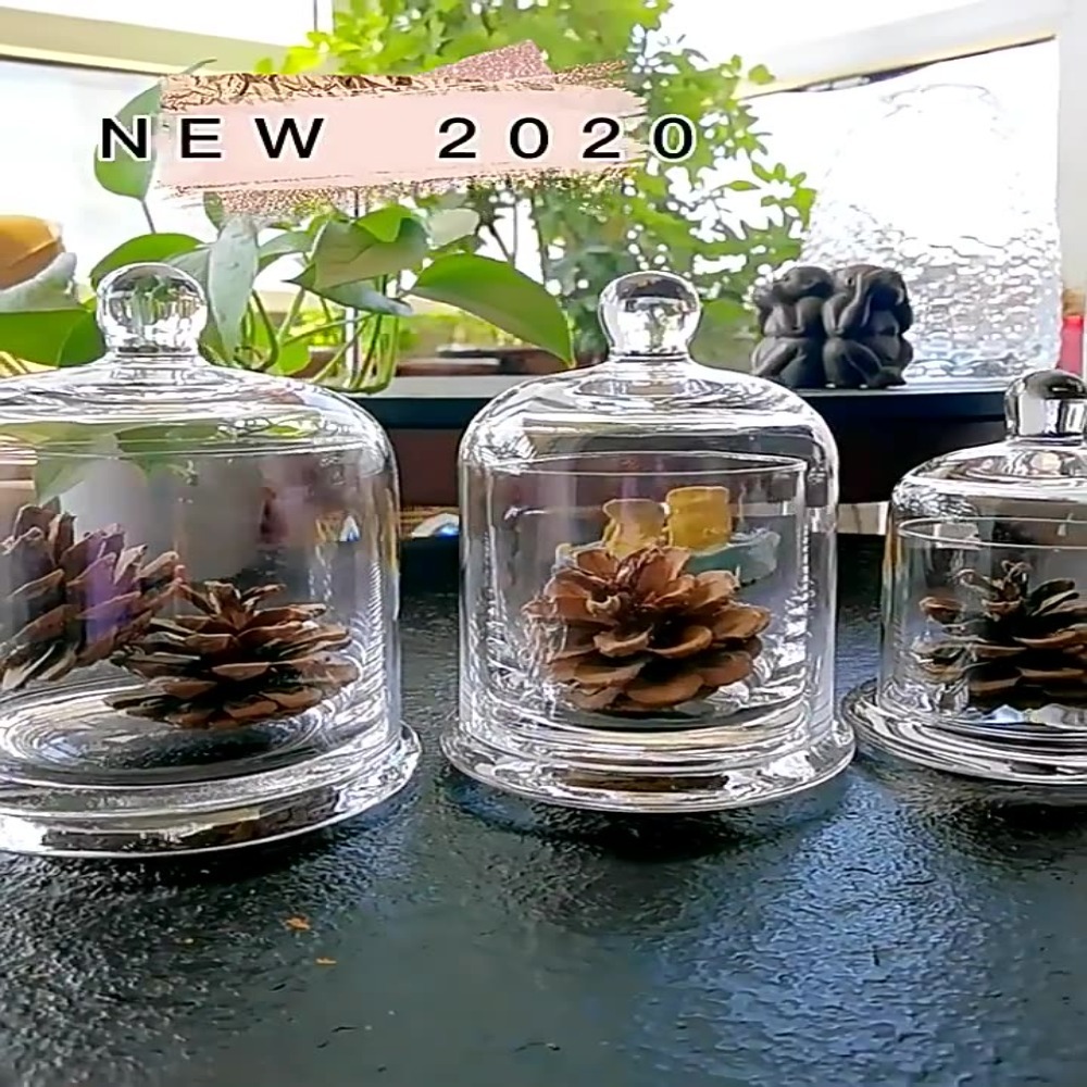 Food Storage In Plants - Pot de stockage en verre, fleur